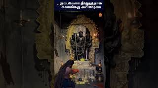 கும்பமேளா தீர்த்தத்தால் சுவாமிக்கு அபிஷேகம்