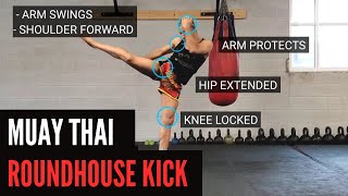 Roundhouse Kick Muay Thai Style (Detailed)