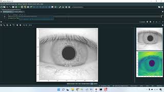 IRIS Recognition Training Image RetNet MMU in Python Projects