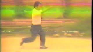 Xingyiquan Heng (Crossing) by Master Chen Jinbao 形意橫拳 陳金寶師爺