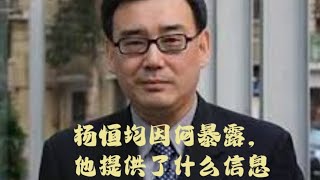 间谍杨恒均因为什么暴露被抓，他出卖了什么信息