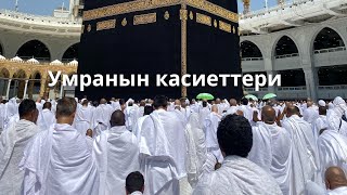 Умрага барсан Аллахтын коногу болосуң