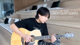 THE TOYS x NONT TANONT - ดอกไม้ที่รอฝน (spring) | Cover by Mick Sira