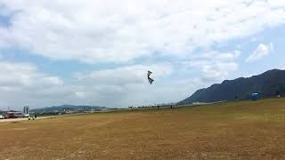 2019 Taoyuan international Kite Festival 11