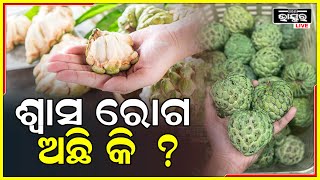 ଶ୍ୱାସ ରୋଗ ଅଛି କି ?ଏହି ଫଳ ହୋଇପାରେ ଆପଣଙ୍କ ପାଇଁ ଅଵ୍ୟର୍ଥ ଔଷଧ