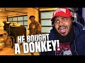 THEY TURNT YB BACK UP!! NBA YoungBoy - Act A Donkey (Official Video) CHARLAMAGNE DISS REACTION