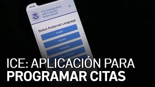 ICE lanza aplicación para programar citas en línea