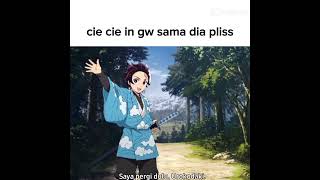 Cie cie in dong hehe