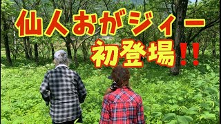 身近にある野草シリーズ第一弾❣️体に良い野草を仙人が分かり安く説明致します‼️仙人の知識炸裂‼️とにかく見てください✨