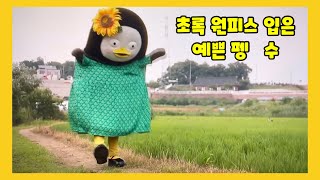 [펭수]초록 원피스 입은 펭수, 논밭거닐어 보는 펭수 #펭수 #초록원피스 #해바라기 #긍정적