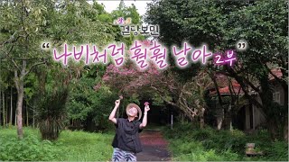 조잘조잘 걷당보민 [나비처럼 훨훨 날아 2부] KBS제주 230926방송