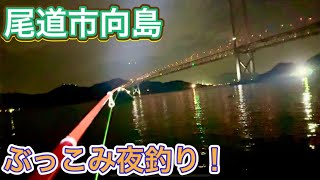 【やーっと釣れた】梅雨明けの夜釣り決戦in尾道市向島!!