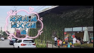 【旺萊山鳳梨文化園區】-𓊈嘉義民雄免門票景點𓊉-【免停車費外，還提供了免費的鳳梨酥及鳳梨酵素的試吃及試飲-𓊈產於北回歸線的鳳梨𓊉-【鄉野間的鳳梨田】-【適合親子闔家一同出遊的地點】