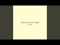 Serene Cascade Fragile