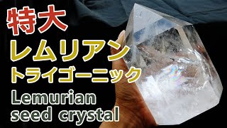 特大レムリアンシードクリスタル（トライゴーニック） Lemurian seed crystal 【Mineral Stone】