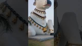 మహానందిలో నంది విగ్రహం | Nandi Statue In Mahanandi #devotional #nandishiv #nandi