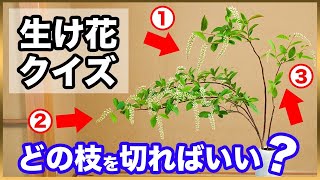 【これで解決】生け花で切るべき枝の選び方教えます！