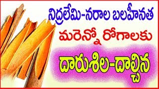 Cinnamon-దాల్చిన చెక్క వల్ల ఉపయోగాలు-అద్భుత ఫలితాలు-DALCHINA-S NAGENDER