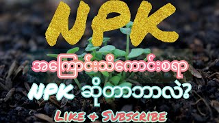 What is NPK || N.P.K ဆိုတာဘာလဲ (မသိသေးတဲ့ တောင်သူတွေအတွက် သိသင့်သိထိုက်သော NPK အကြောင်း)