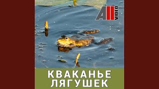 Кваканье лягушек