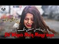 Dil Wapis main Mang lena Song - Pakistani Saraiki lofi songs 🔥🎭 Lofi Urdu Music