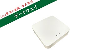 AUTOMAX izumi ゲートウェイ Tuyaスマートホーム対応 スマートスイッチロボット 対応 Wi-Fi接続 遠隔操作 tuya アプリ スマートハブ スイッチ ボット スマートホーム