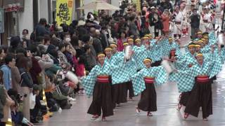 上町よさこい鳴子連　土佐のおきゃく2017よさこい春の舞 帯筋屋町2丁目会場 4K  2017 3 5