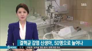 [사회] [단독] 부산 산부인과에서 신생아 집단 결핵균 감염 (SBS8뉴스|2014.8.8)