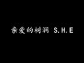 亲爱的树洞 S.H.E (歌词版)