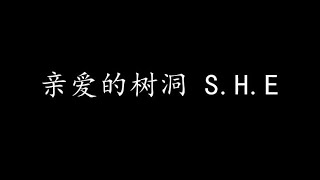 亲爱的树洞 S.H.E (歌词版)