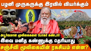 நவபாஷாணம் செய்வது சாதாரண காரியம் இல்லை ! | Pulipani Siddhar | Bogar | IBC Bakthi