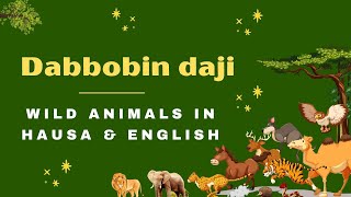 Dabbobin daji - Wild Animals in Hausa \u0026 English