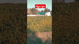 ખેડુત પુત્ર #farming #farmer #shortvideos #yutubeshorts #shorts