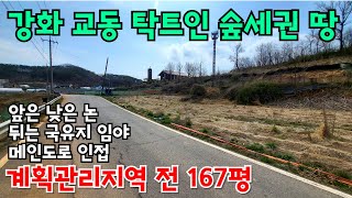 (핫매물#강화도)교동 탁트인 전 167평, 뒤땅 국유지 숲세권, 도로면 넓게 접함, 접근성 좋은 한적한 곳