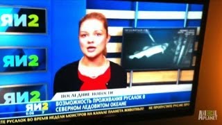 Mermaid Sighting on Russian Newscast | Mermaids