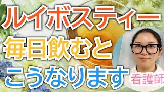 ルイボスティーを毎日飲むとどうなる？知らないともったいない健康効果【看護師が解説します】