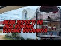 PERMASALAHAN BURUNG KURANG BIRAHI