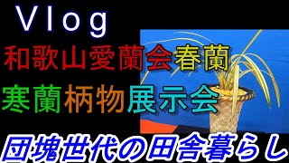 05-29　和歌山愛蘭会、春蘭、寒蘭柄物展示会