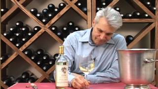 Barone Fini 2010 Valdadige DOC Pinot Grigio