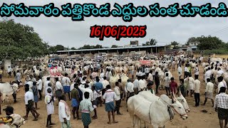 16/06/2025 సోమవారం పత్తికొండ సంతలో ఎద్దులు ధరలు ఏ విధంగా ఉన్నాయో చూడండి ఫ్రెండ్స్