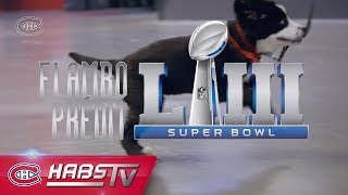 Flambo predicts Super Bowl LIII