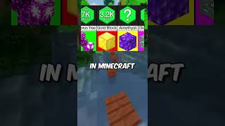 Mindblowing Minecraft Thoughts 27