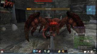 Vindictus - Solo Raid Spider