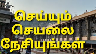 செய்யும் செயலை நேசியுங்கள்| Motivational Speech| Tamil Motivation| Sucess Life