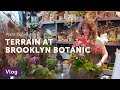 Tour TERRAIN + CHERRY BLOSSOMS at Brooklyn Botanic Gardens