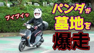 原付バイク初心者ビビりながら初走行in墓地　パンダ爆走