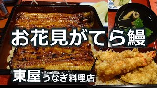 【うなぎ料理の店】秩父は桜が満開。お花見ドライブがてら鰻なら【東屋】オススメです!!