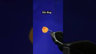 How to tie a Glo Bug fly Pattern | Fly tying eggs tutorial #flytying #flytyingmaterials