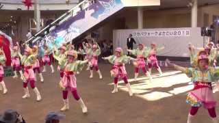 バービーズさん　 ワカバウォークよさこい2013