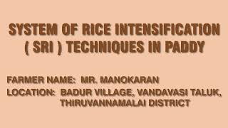 Yield Increasing Techniques in Paddy ( நெல்லில் விளைச்சலை அதிகரிக்கும் நுட்பங்கள் )